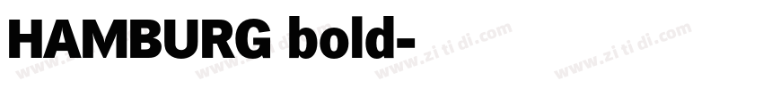 HAMBURG bold字体转换